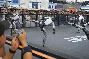 Robot conference in Beijing
