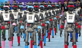 World Humanoid Robot Games in Beijing