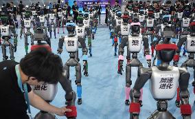 World Humanoid Robot Games in Beijing