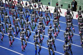 World Humanoid Robot Games in Beijing