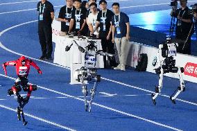 World Humanoid Robot Games in Beijing
