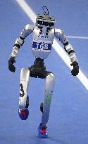 World Humanoid Robot Games in Beijing