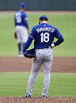 Baseball: Dodgers vs. Braves