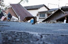 1 month after Kumamoto quake