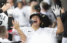 Baseball: Twins vs. White Sox