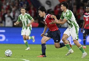 Football: Champions League