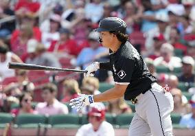 Baseball: White Sox vs. Cardinals
