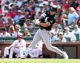 Baseball: White Sox vs. Cardinals