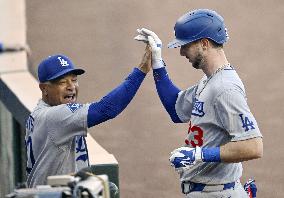 Baseball: Dodgers vs. Reds