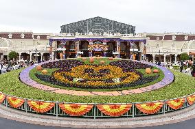 Halloween program at Tokyo Disneyland