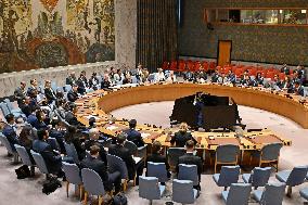 U.N. Security Council meets on Bab el-Mandeb crisis