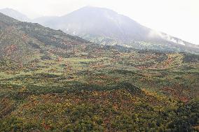 Autumn foliage on Mt. Asahidake in Hokkaido