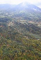 Autumn foliage on Mt. Asahidake in Hokkaido