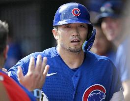 Baseball: Cubs vs. Reds