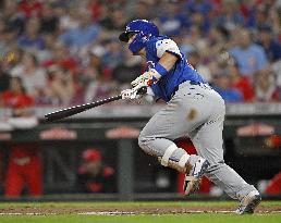 Baseball: Cubs vs. Reds