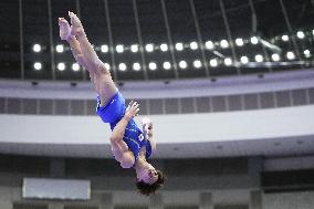 Aichi-Nagoya Asian Games: Artistic Gymnastics