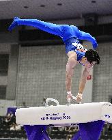 Aichi-Nagoya Asian Games: Artistic Gymnastics