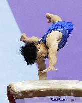 Aichi-Nagoya Asian Games: Artistic Gymnastics