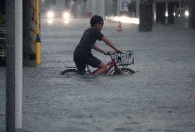 Typhoon in eastern Japan