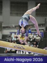 Aichi-Nagoya Asian Games: Artistic Gymnastics