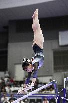 Aichi-Nagoya Asian Games: Artistic Gymnastics