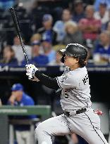 Baseball: White Sox vs. Royals
