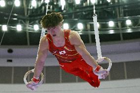 Aichi-Nagoya Asian Games: Artistic Gymnastics