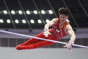 Aichi-Nagoya Asian Games: Artistic Gymnastics