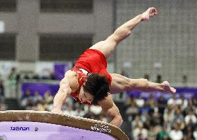 Aichi-Nagoya Asian Games: Artistic Gymnastics