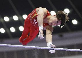 Aichi-Nagoya Asian Games: Artistic Gymnastics