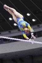 Aichi-Nagoya Asian Games: Artistic Gymnastics