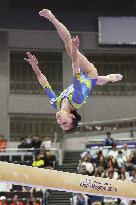 Aichi-Nagoya Asian Games: Artistic Gymnastics