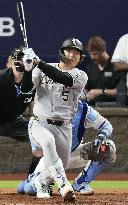 Baseball: White Sox vs. Royals