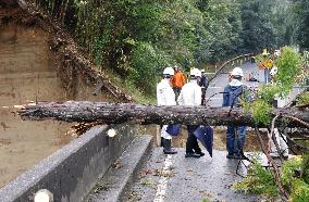 Aftermath of Typhoon Dujuan