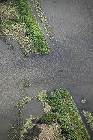 Aftermath of Typhoon Dujuan
