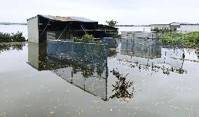 Aftermath of Typhoon Dujuan