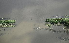 Aftermath of Typhoon Dujuan