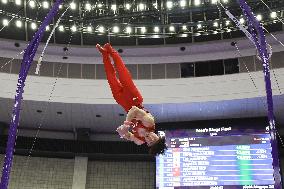 Aichi-Nagoya Asian Games: Artistic Gymnastics