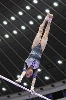 Aichi-Nagoya Asian Games: Artistic Gymnastics