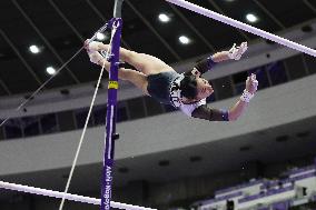 Aichi-Nagoya Asian Games: Artistic Gymnastics
