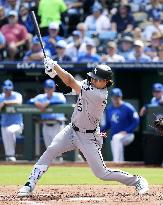 Baseball: White Sox vs. Royals