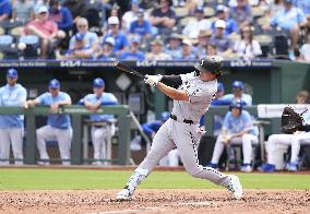 Baseball: White Sox vs. Royals
