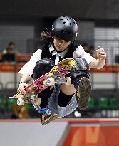 Aichi-Nagoya Asian Games: Skateboarding