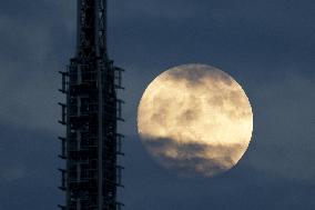 Harvest moon
