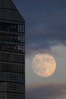 Harvest moon