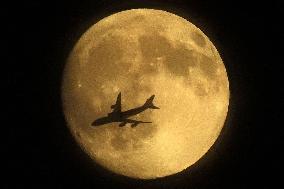 Harvest moon