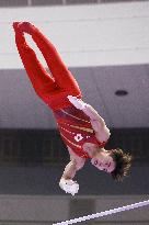 Aichi-Nagoya Asian Games: Artistic Gymnastics