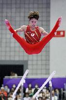 Aichi-Nagoya Asian Games: Artistic Gymnastics